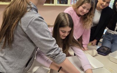 Projekt “Zasadi znanje”