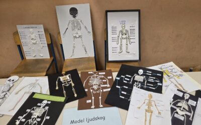 U učionici Biologije i Kemije učiteljica predstavlena je izložba učeničkih radova Znanost na dlanu Snaga modela u učionici.
