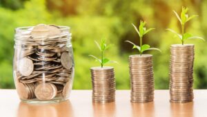 nattanan23-money-2696228_1920